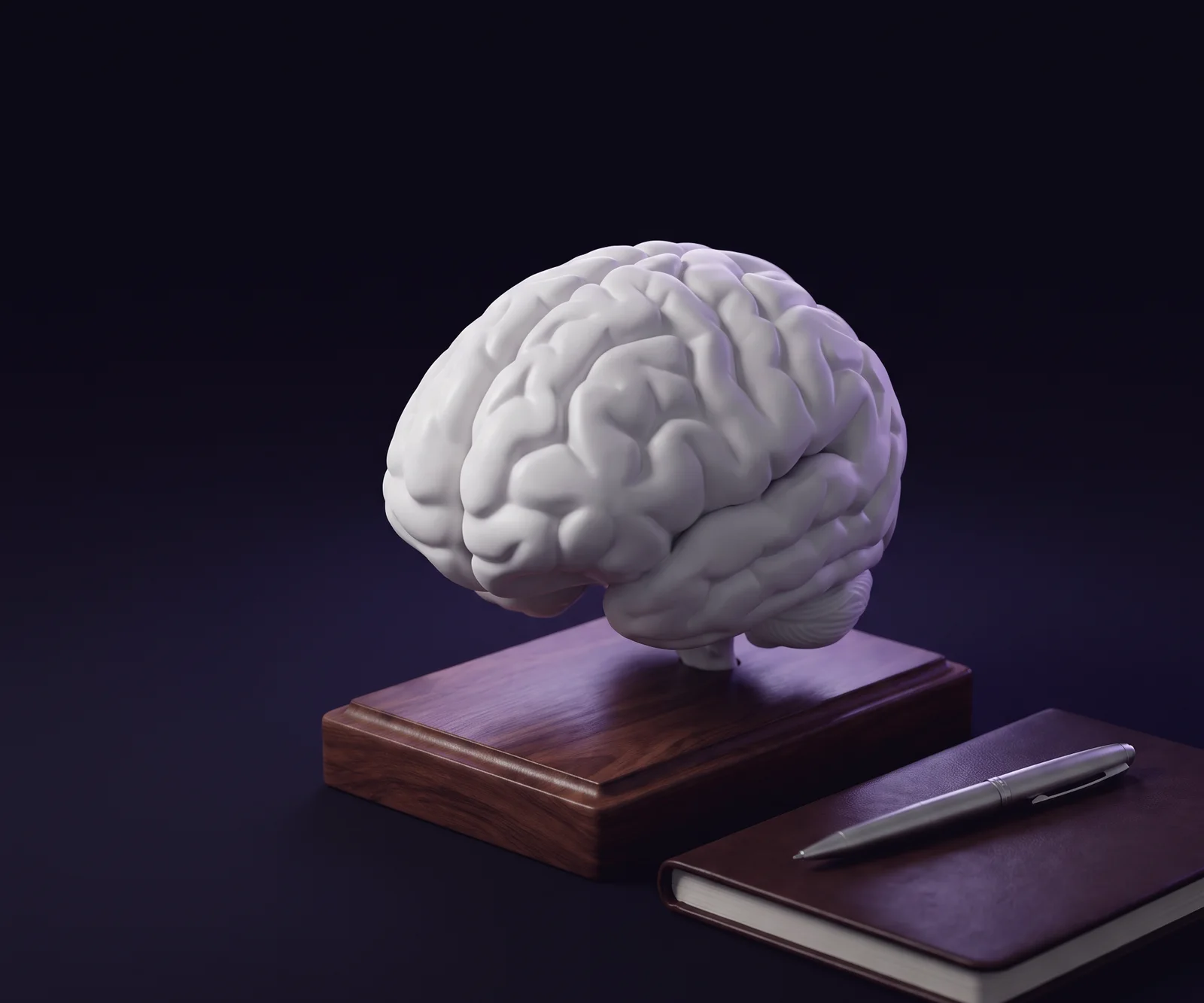 A porcelain brain model on a wooden stand beside a closed notebook